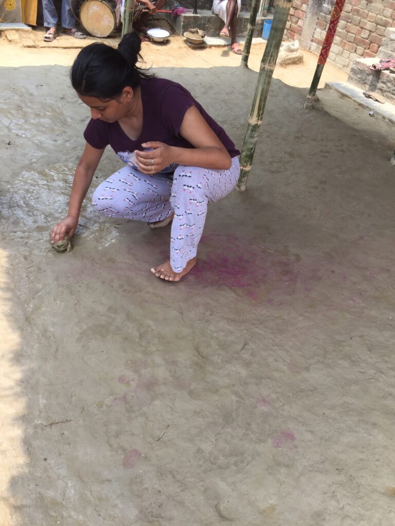 HOLY COW DUNG UTILITY