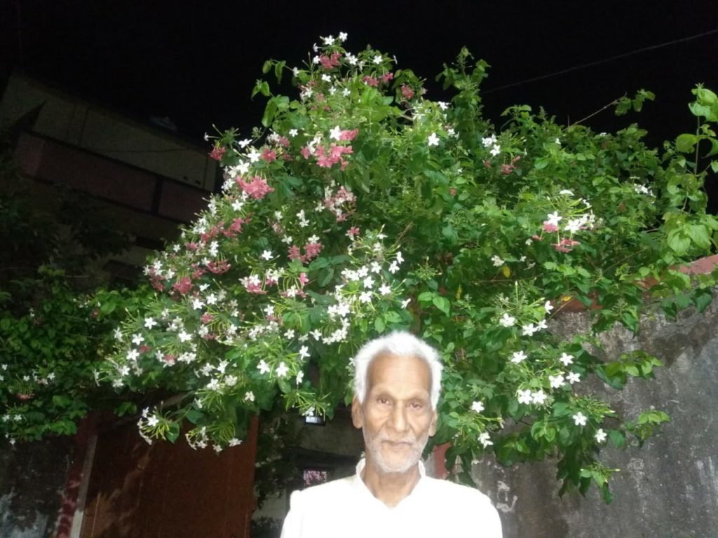 HHORTICULTURE ACTIVITY